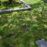 Grassy unmarked area of cemetery